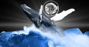 Ранние держатели биткоина стали реже продавать монеты
