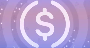 Circle получила трастовую лицензию Нью-Йорка для USDC