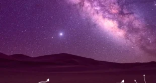 Биткоин-резерв SpaceX подешевел на $539 млн за полгода